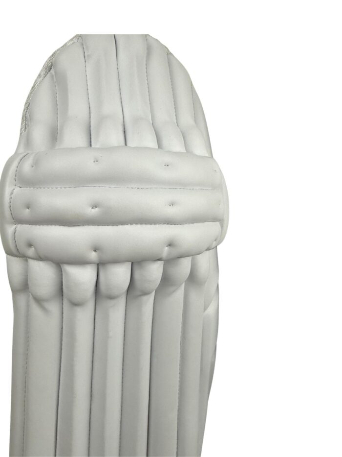 Knock Premium Edition Batting Pads - Image 7