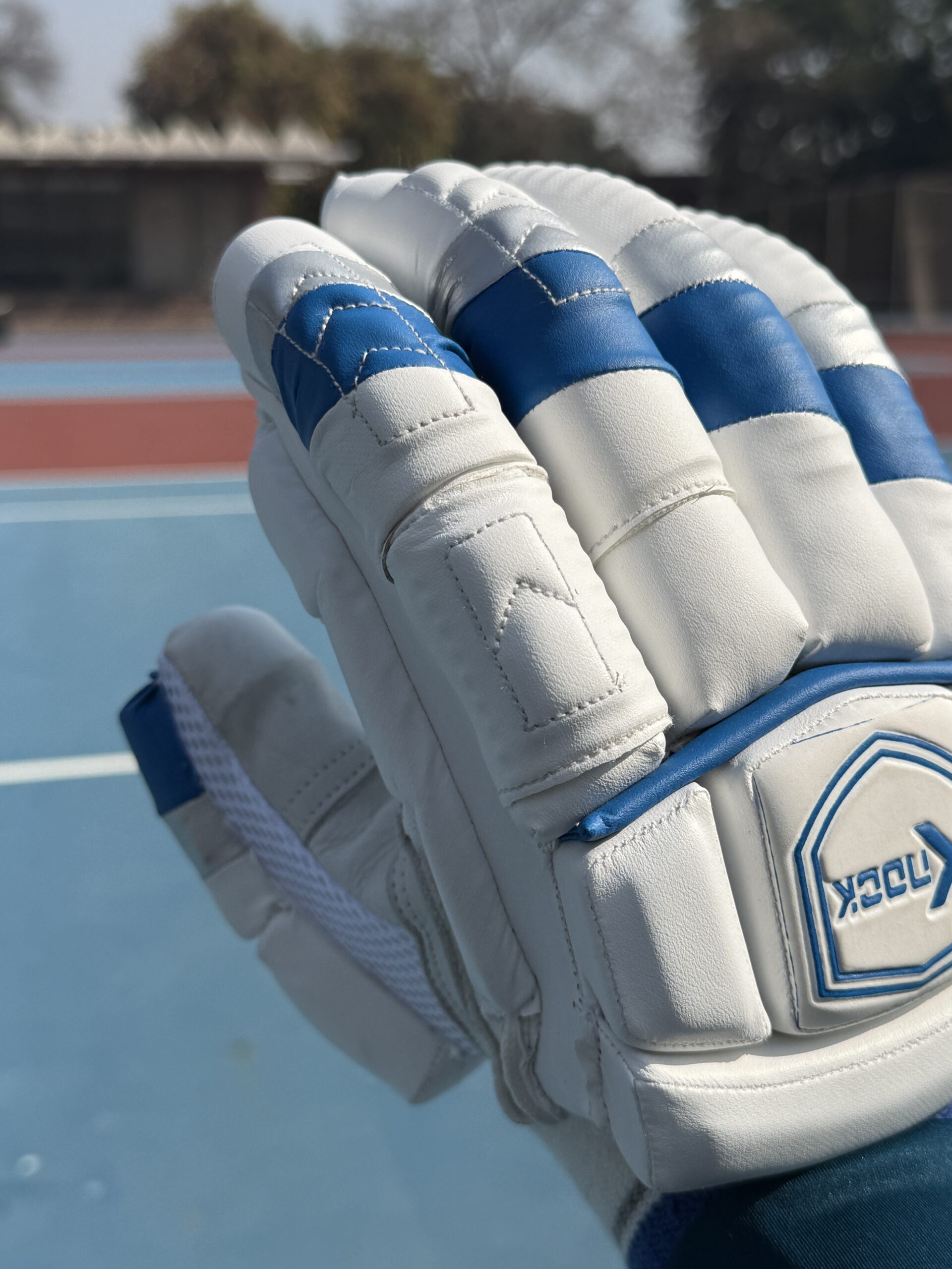 Knock Platinum Edition1.1Batting Gloves - Image 2